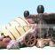 Stagecoach Combo Inflatable Bouncer Jumping Bouncy Castle Bounce House