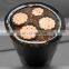 XLPE insulated copper power cable 4x35mm2 xlpe insulated power cable