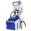 Non Invasive Fat Freeze Freezing Fat Melting Body Shape Machine With Laser Pads