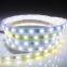 Factory Outlet SMD 5050 Colorful Decoration  IP65 67 LED Light Strip