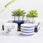 Meaty white porcelain flowerpot green plant flower pot hand-painted creative ceramic mini pot