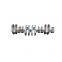 Premium Quality Nta855-c360 Crankshaft Assy 3608833