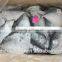 Frozen whole round moon fish with size 200 g up