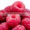 GMPc DIETARY SUPPLE MENT Raw Material Raspberry Ketone WHITE LABEL