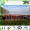 Security Sfety Barrier/Pedestrian Fence Products Made in China for Protection