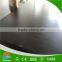 2 times hot press, wbp glue,18mmX1220X2440, poplar core, black film faced plywood