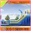 Blue Whale inflatable water slide