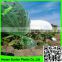 Supply 2016 LDPE hail protection fruit cover ,clear plastic film foil polyethyle for grape cover, 6 mil greenhouse film