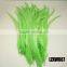 Dyed coque feather tails LZXW086