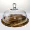 High quality glass cloche for cake/cream/cake/flower