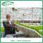 Nutrient Film Hydroponics System Greenhouse