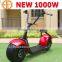 Bode new 1000W big wheel Halei Harley E motorcycle for sale factory price