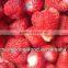 The new season Frozen strawberries in 2014