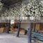 Factory manufacture artificial cherry blossom tree artificial white wedding tree with favorable price