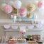 Decor Paper Flower For Garden Supplies tissue pom poms china birthday party items
