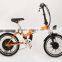 Electric bicycle (Model SMT100F)
