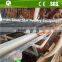 A type cheap battery chicken breeding cages for sale