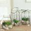 Multi-shaped Available Personalized Micro Geometry Landscape Glass Vase