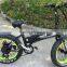250W Folding Electric Mountain Bike with Hidden Battery