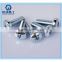 Cross recessed pan head screws with high quality