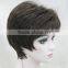 Excellent Dark Brown Short Straight Women ladies Natural Daily Wig N517