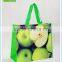 Fashion european pp woven lamination handbag 2015