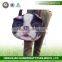 QQ Pet Factory 2015 Hot popular latest fashion cat dog face messenger bag handbag with strap