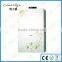 Good quality hot selling wall hung gas water heater boiler