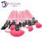 Pink professional 24 piece makeup brush set with pouch bag