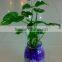 Crystal Soil Type Water gel balls for plants