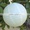 solar power paper lanterns solar light