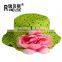 Cotton Baby Girls Sun Hat with Flower Wide Brimmed