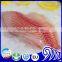 Frozen Farmed Tilapia Fillet Fish Price