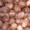 Fresh taro root supplier from China