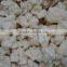 IQF Frozen Cauliflower