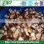 IQF/Frozen shiitake mushroom ,chinese mushroom 2016 crop