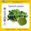 Natural Spinach Powder