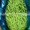 IQF Frozen Edamame Frozen Green Soybeans