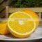 food grade orange juice concentrate powder