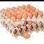 Rich experience egg carton tray machine
