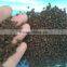 Ace standand dap fertilizer dap fertilizer prices