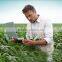 40% plant source Amino Acid Powder Fertilizer for reasonable price