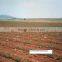 Pathfinder irrigation drip tape