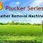 Hot Sale Automatic Quail Plucker Machine Duck Depilate Feather Machine