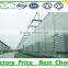 vegetable low cost commercial greenhouses