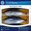FDA Approved Skip Jack Tuna Available at Wholesale Price
