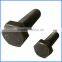 8.8 Grade Black and Galvanized DIN933 Hex Bolt & Nut
