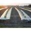Mulch Film