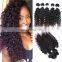 china hair factory 100 human hair afro curly raw indian curly hair