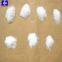 food additive monosodium glutamate